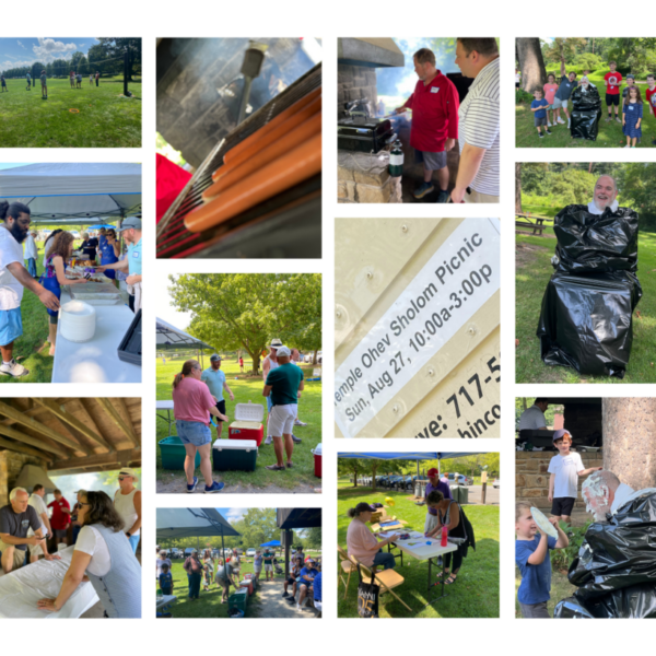 2023 Picnic Collage